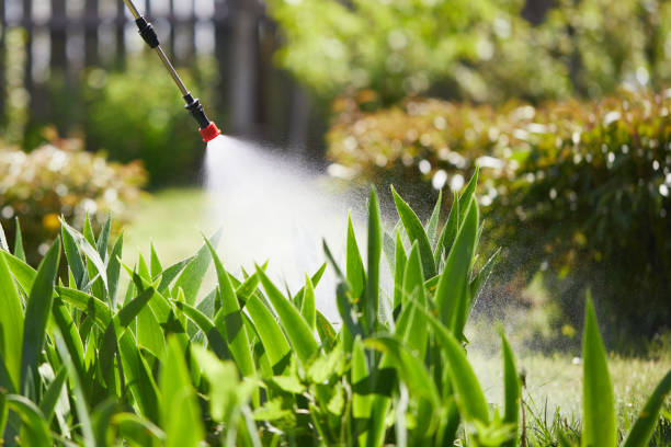 24/7 Emergency Termite Control experts in South Sumter, SC