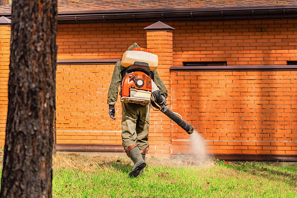 Trusted Ant Control service in South Sumter, SC - Nex Pest Control